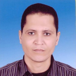  Tawfiek Mohamed Gomaa