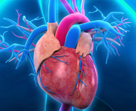 SMP Cardiology and Cardiovascular Medicine